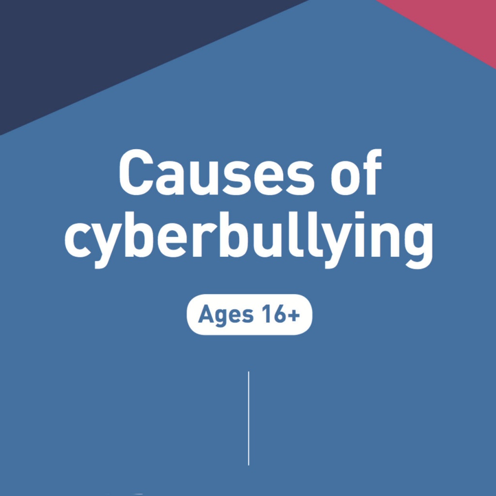 Causes Of Cyberbullying 16 Cybersmile 9535